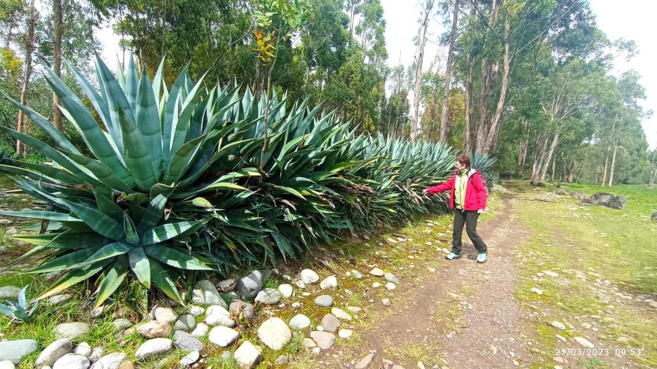 Pousada Villa Huaripampa Шауха Екстериор снимка
